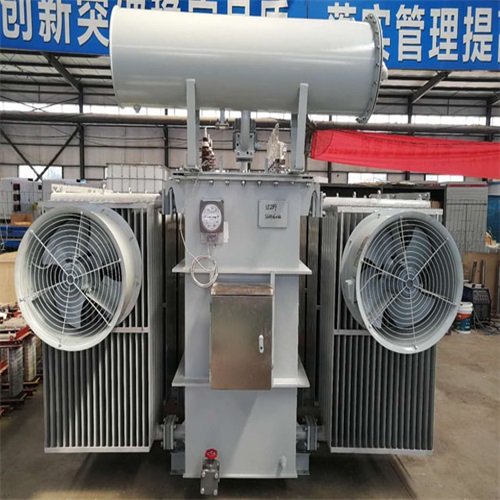 云城10KV油浸式变压器